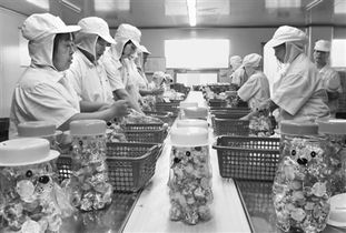 厦门一食品厂女工在包装销往印度的糖果