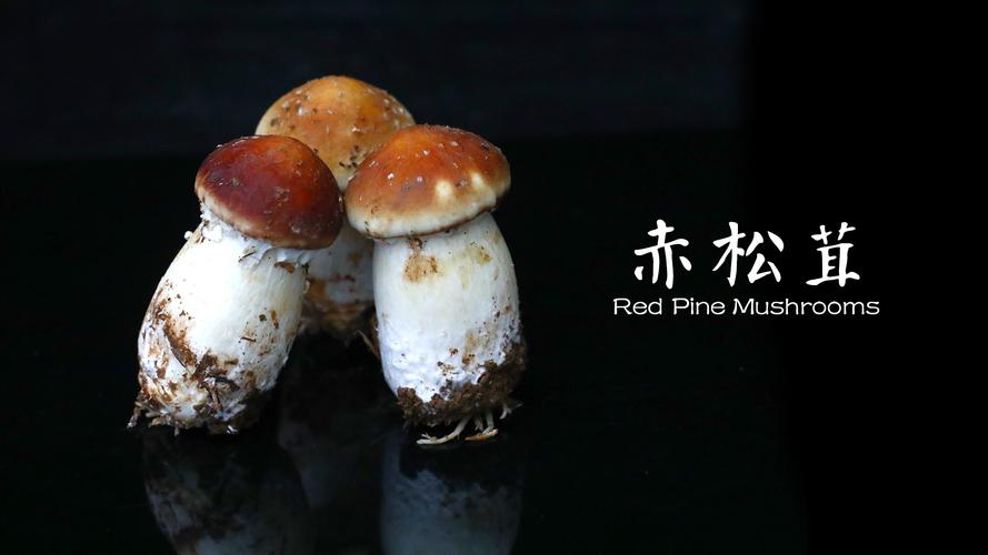 转让;批发零售: